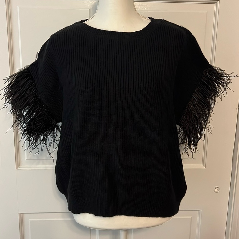 Black Feather Sleeve Sweater L NWT